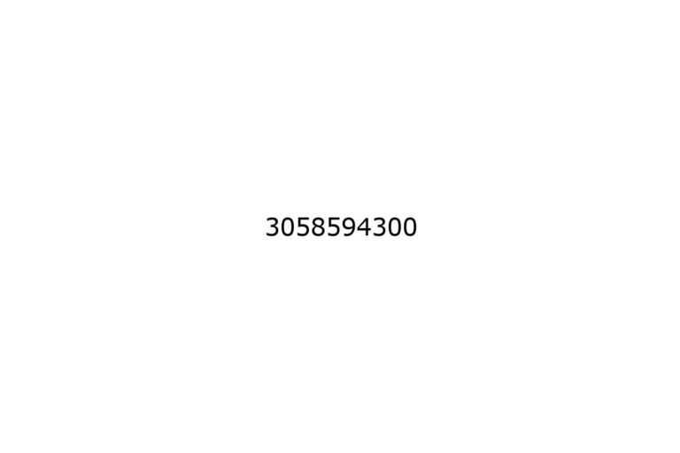 3058594300