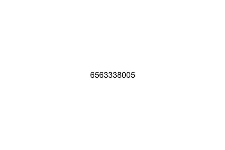 6563338005