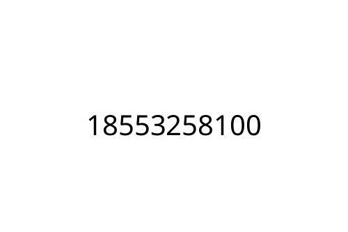 18553258100