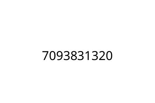 7093831320