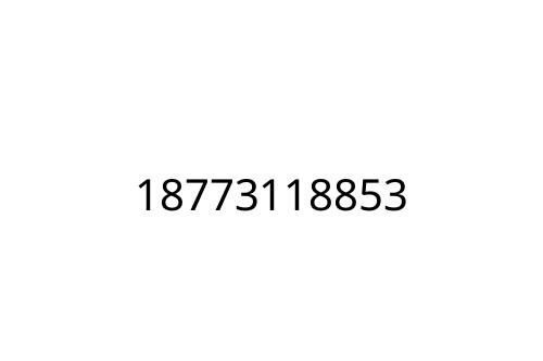 18773118853