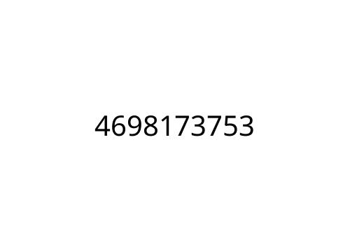 4698173753