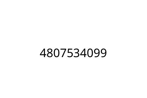 4807534099