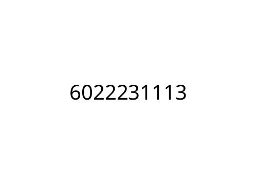 6022231113