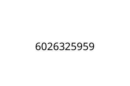 6026325959