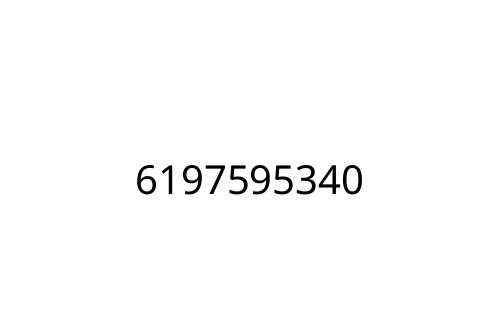 6197595340
