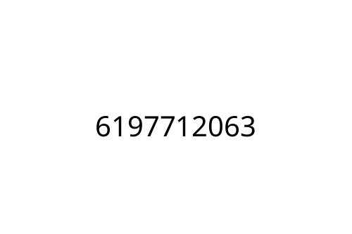 6197712063