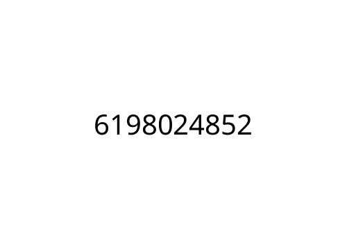 6198024852