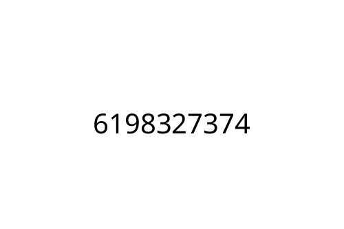 6198327374