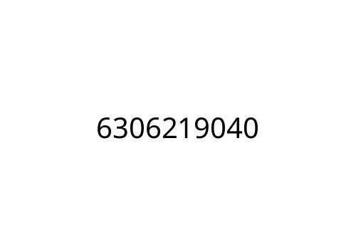 6306219040