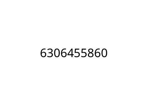 6306455860
