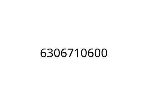 6306710600