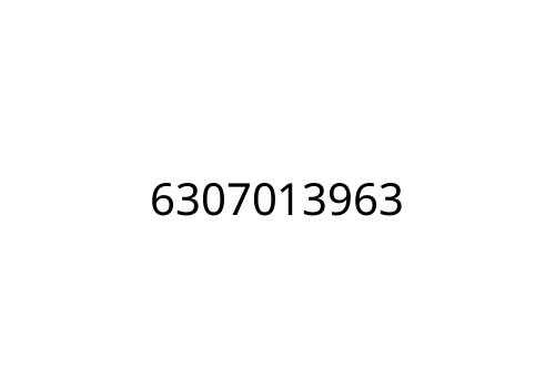 6307013963