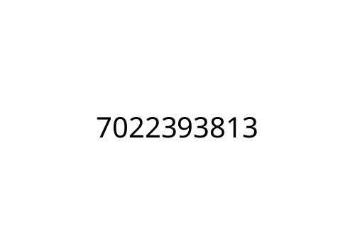 7022393813