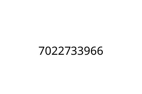 7022733966