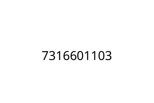 7316601103