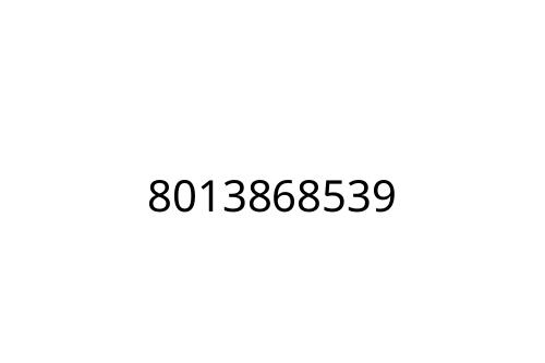 8013868539
