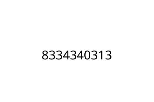 8334340313