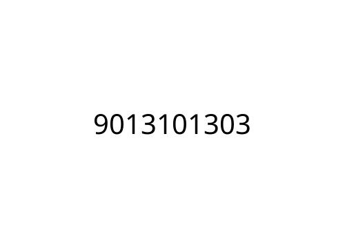9013101303