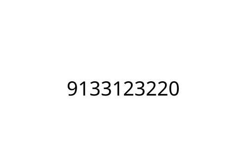 9133123220
