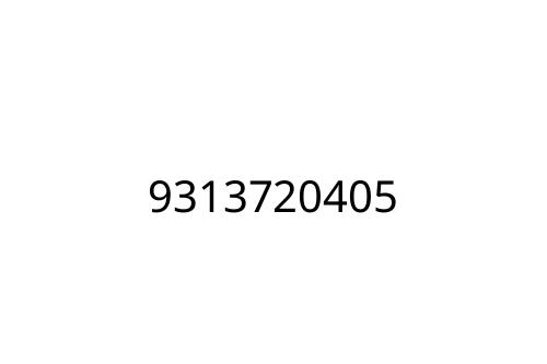 9313720405
