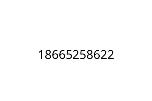 18665258622