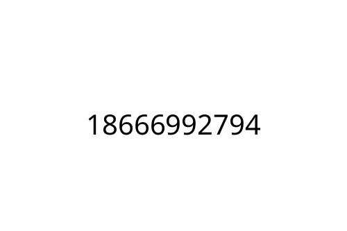 18666992794