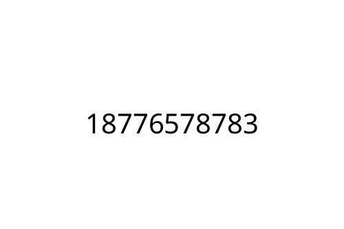 18776578783