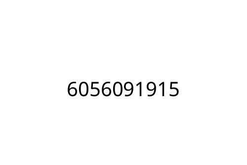 6056091915