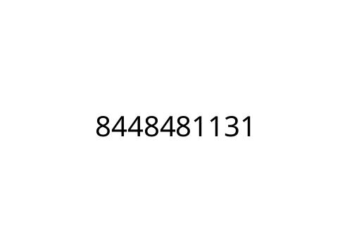 8448481131