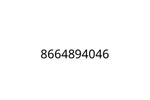 8664894046