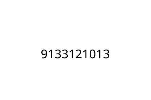 9133121013