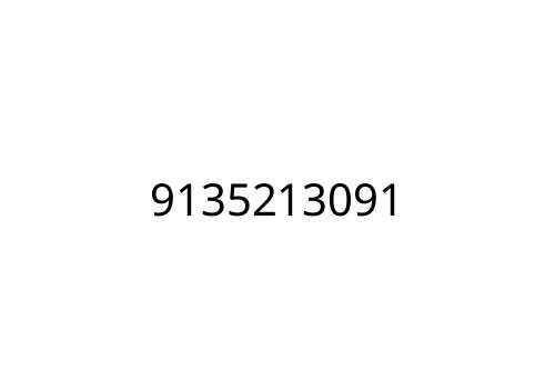 9135213091