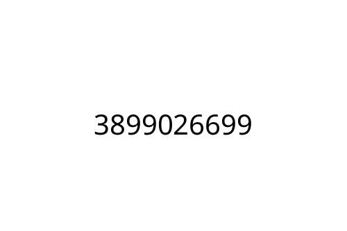 3899026699
