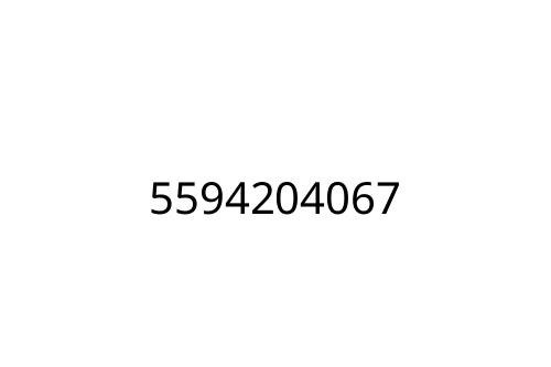 5594204067