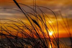 control valves used for steam heating coils are typically: