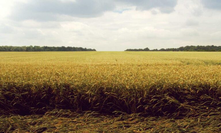 cyroket2585 patch new version