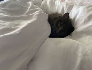 lsit of games munjoff1445