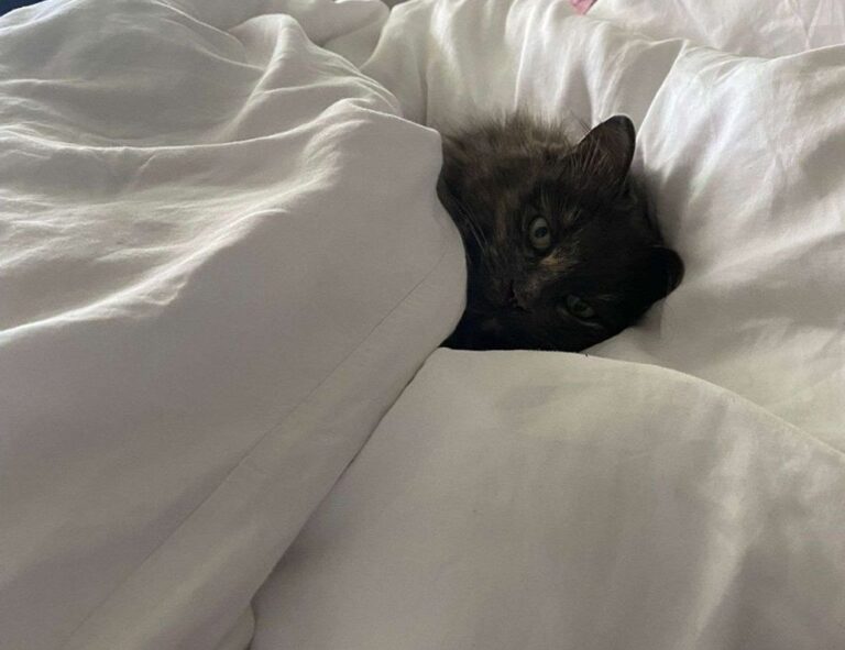 lsit of games munjoff1445