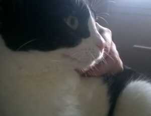 0297xud8 python code error