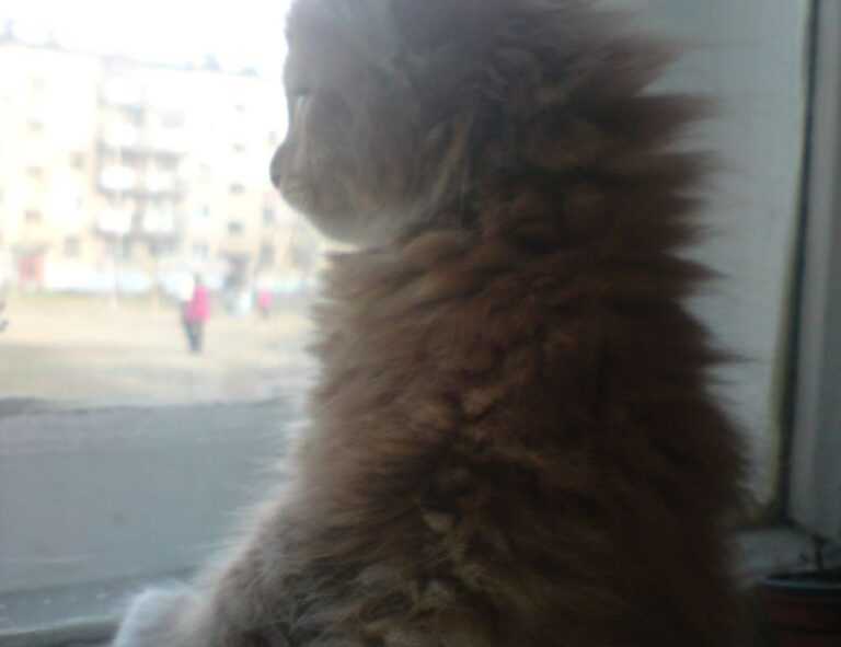 how endbugflow software can be protected