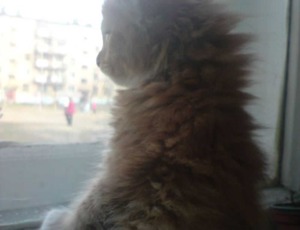 how endbugflow software can be protected