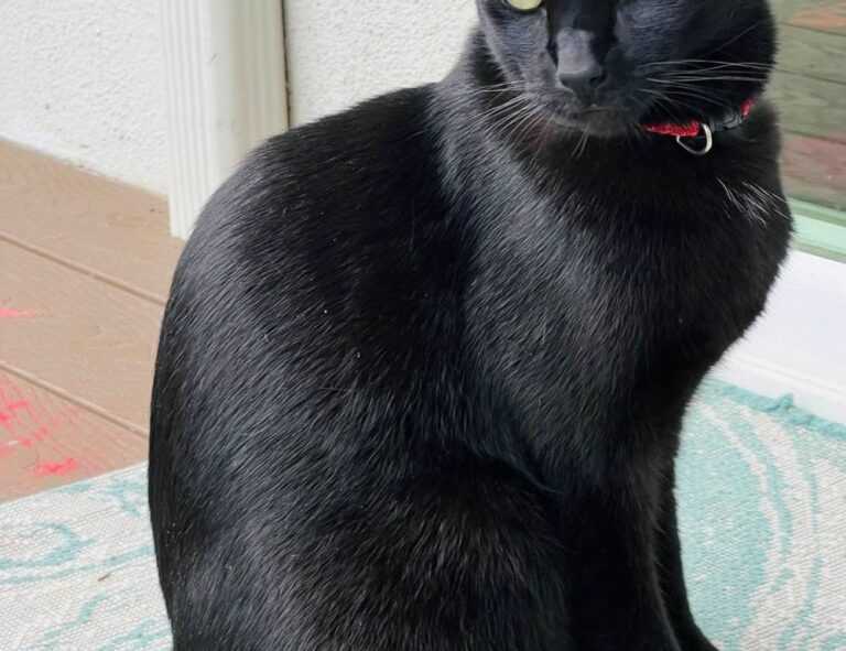 how to testing zillexit software