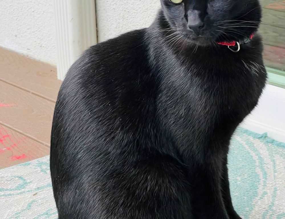 how to testing zillexit software