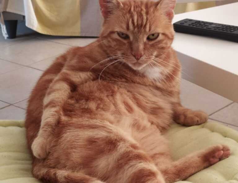 is kuvorie islands dangerous