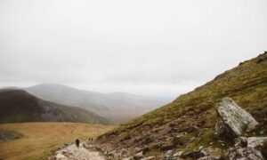 is rizopacho high in iron