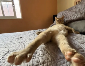 why anglehozary cave diving is dangerous