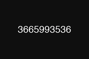 3665993536
