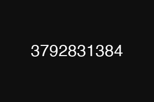 3792831384