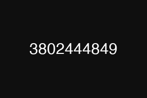 3802444849